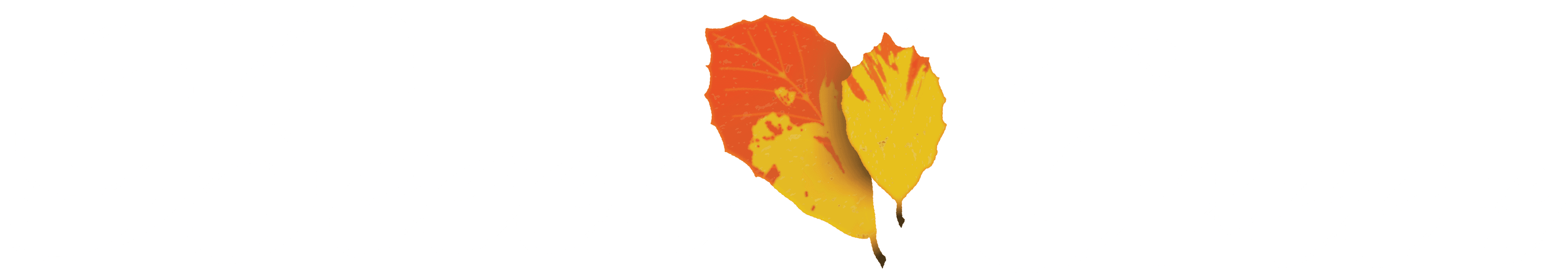 Beech Creek Golf Club logo