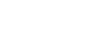 Bridgewater Little League logo