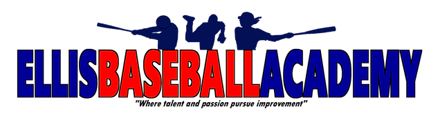 Ellis Baseball Academy logo