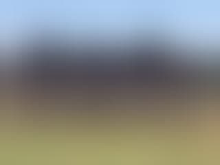 North Concho Little League facility photo 2