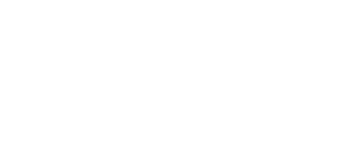 PAP Sports logo