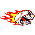 The Cage by Rivals logo