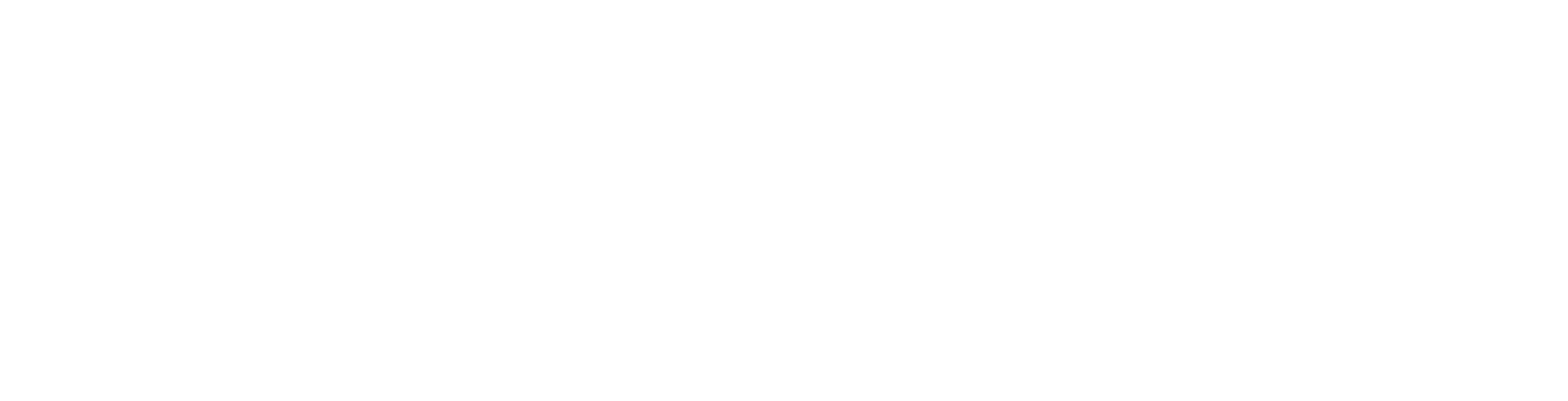 True North Athletic Therapy logo