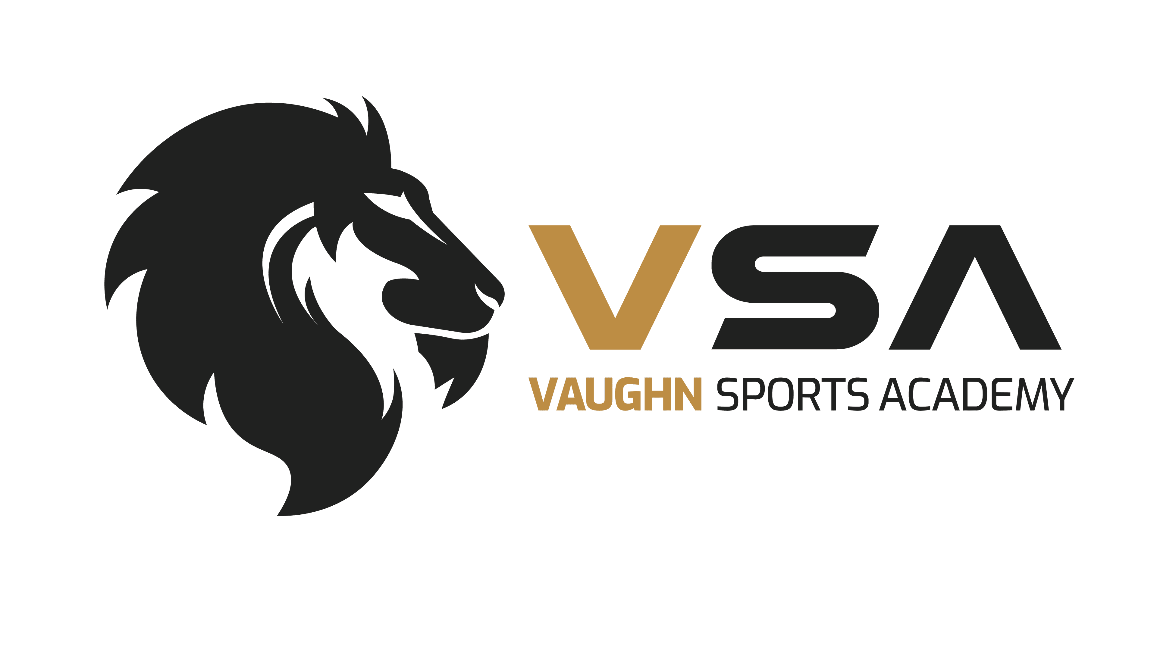 Vaughn Sports Academy logo