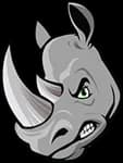 Ballyhoo Sports Academy logo