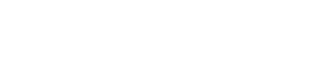 Black and Brave Wrestling Academy logo