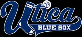 Blue Sox Academy logo