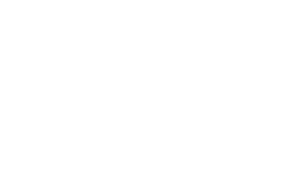Boss Basketball Performance logo