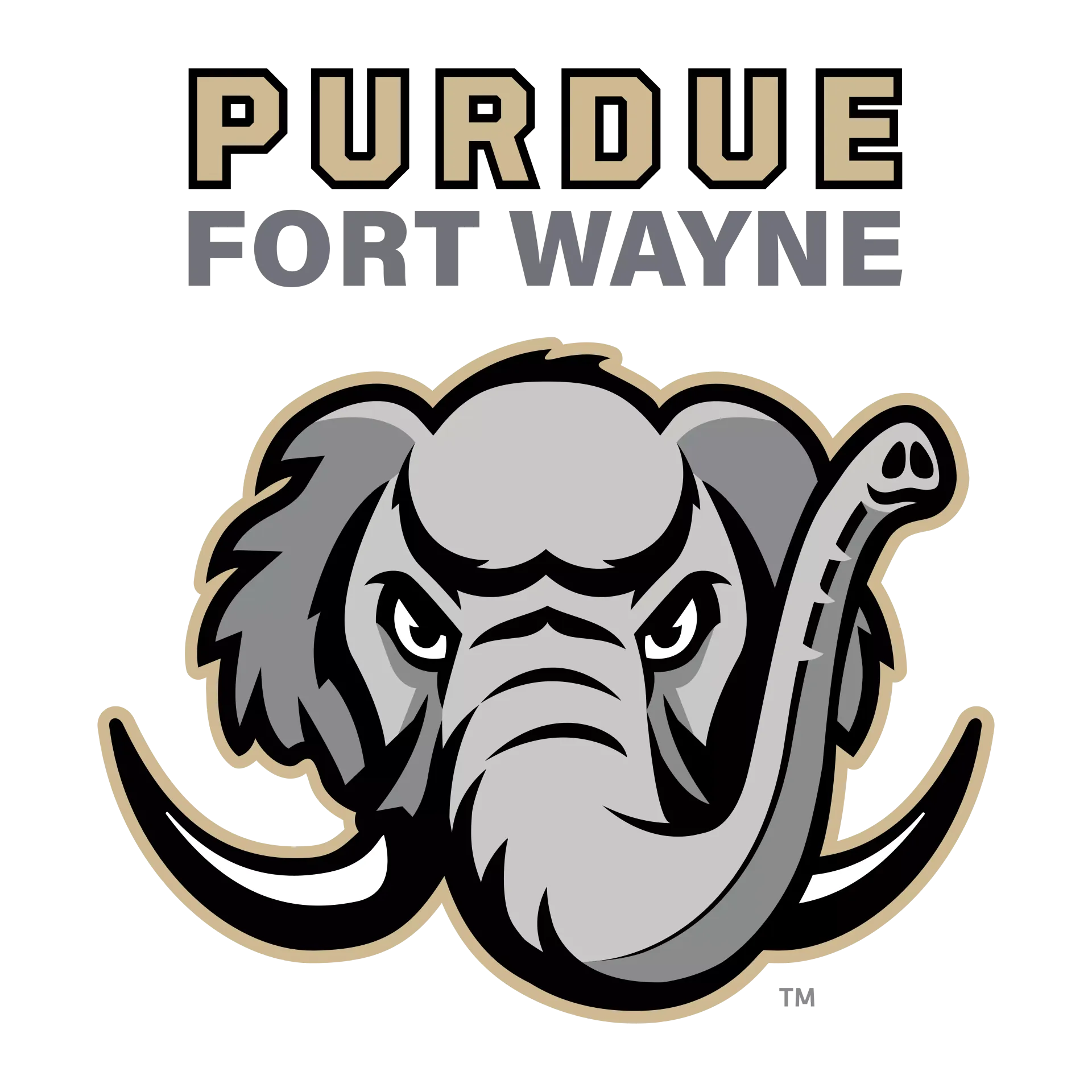 Mastodon Field logo