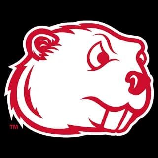 MINOT STATE DOME logo