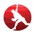 Next Level Performance Baseball logo