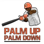Palm Up Palm Down logo
