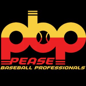 Pease Baseball Professionals facility photo 2