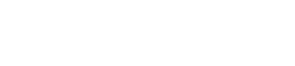 Performance Sport & Speed logo