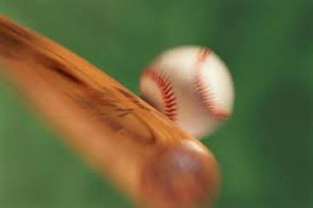 Pro Skills Baseball Academy facility photo 2