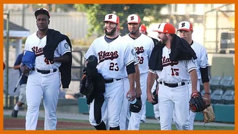 Sam Lynn Ballpark facility photo 3