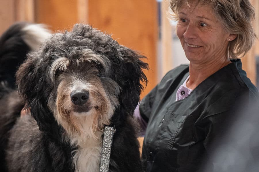 Mattox Dog Training Academy facility photo 3