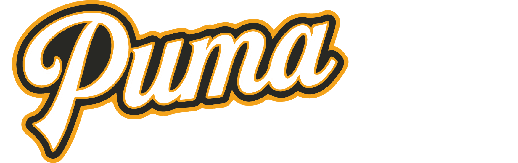 Puma Baseball Academy facility photo 2