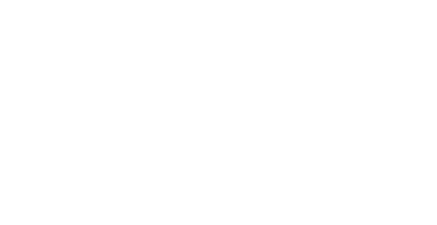 Southern Swing Sports logo