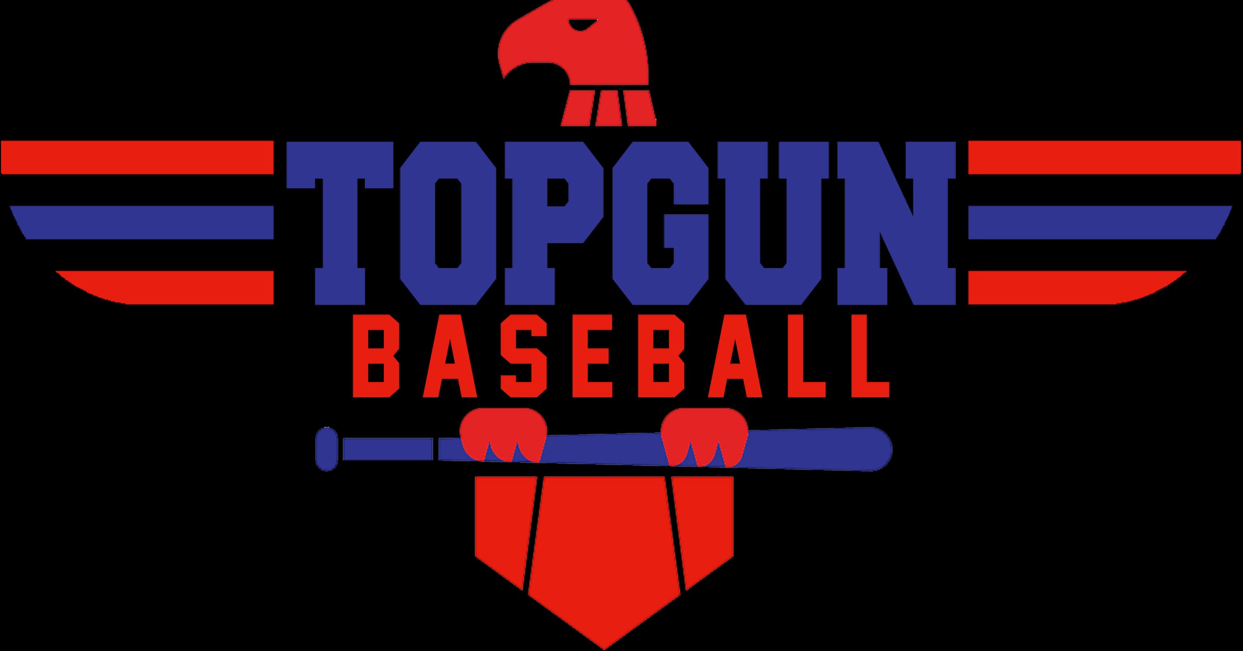 TG24 Top Gun Baseball Training Facility logo