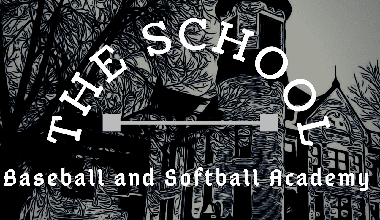 The School Baseball and Softball Academy facility photo 2