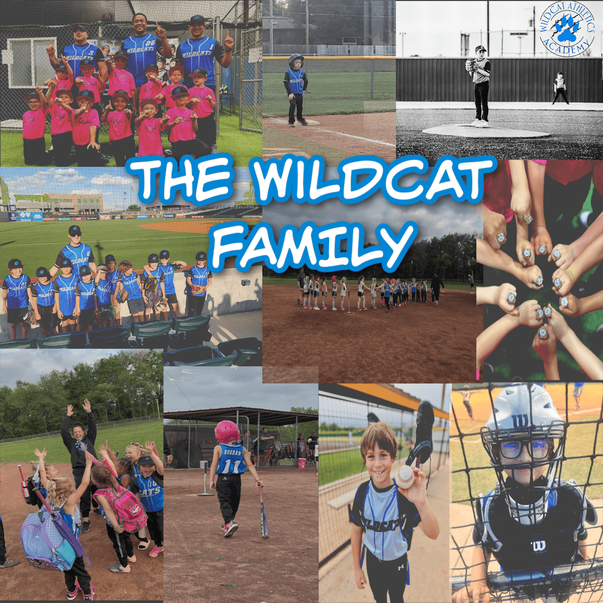 Wildcat Athletics Academy facility photo 2
